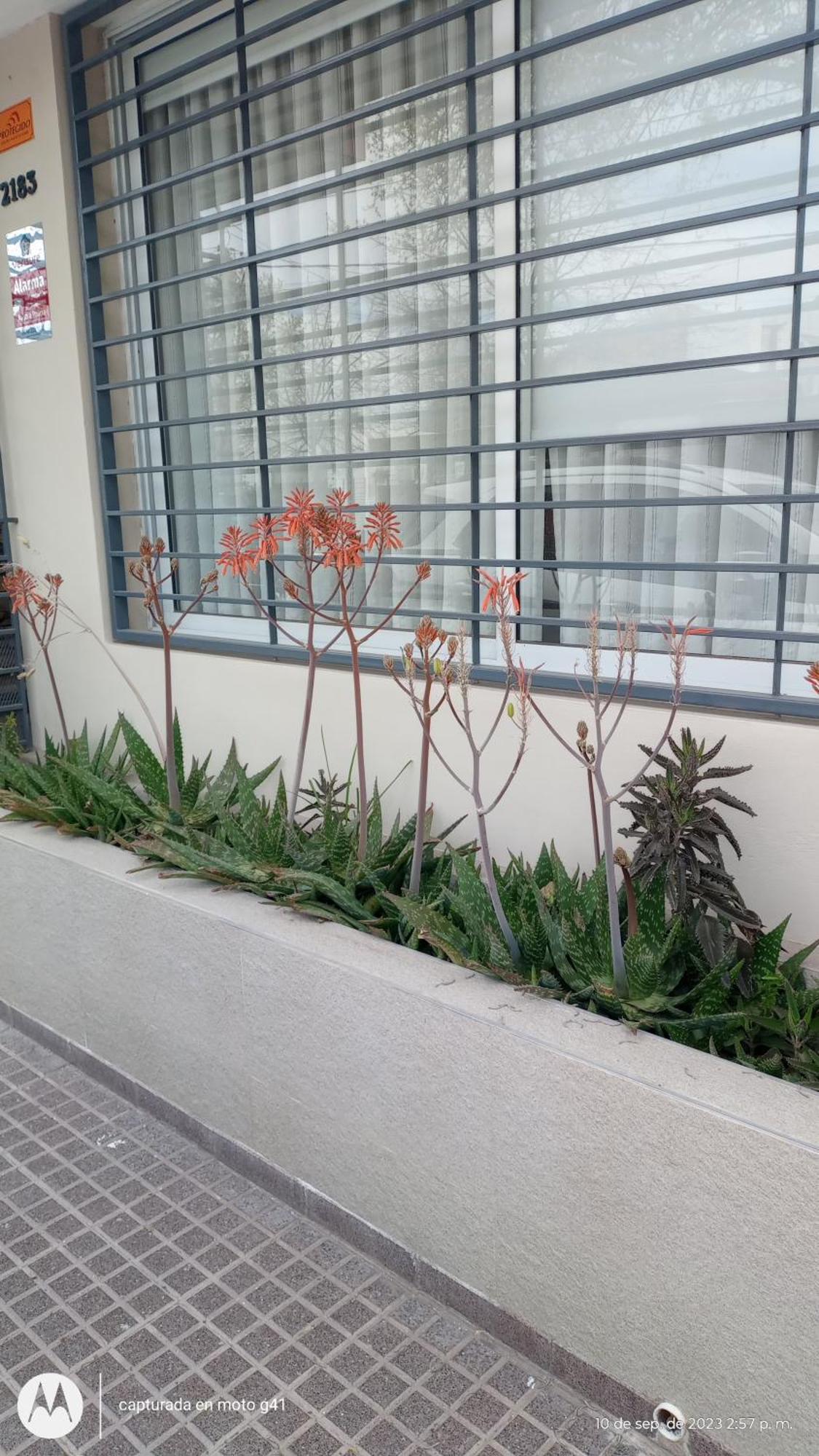 Casa de Férias Santa Rosa Mendoza